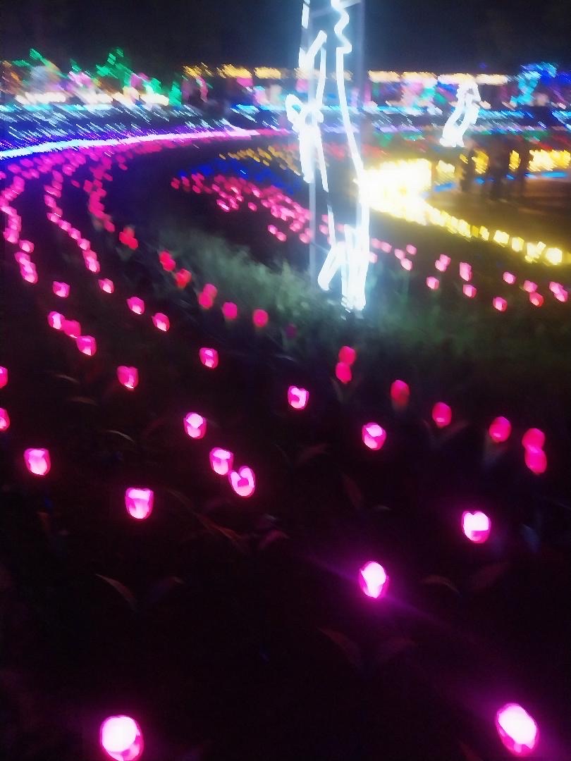 Pink lanterns photographed in motion, smearing into ribbons of colour.
