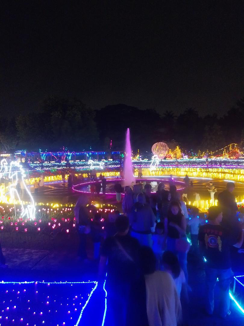 Wide view of the lights park at night: fountain, planet, illuminated paths and crowds of visitors.