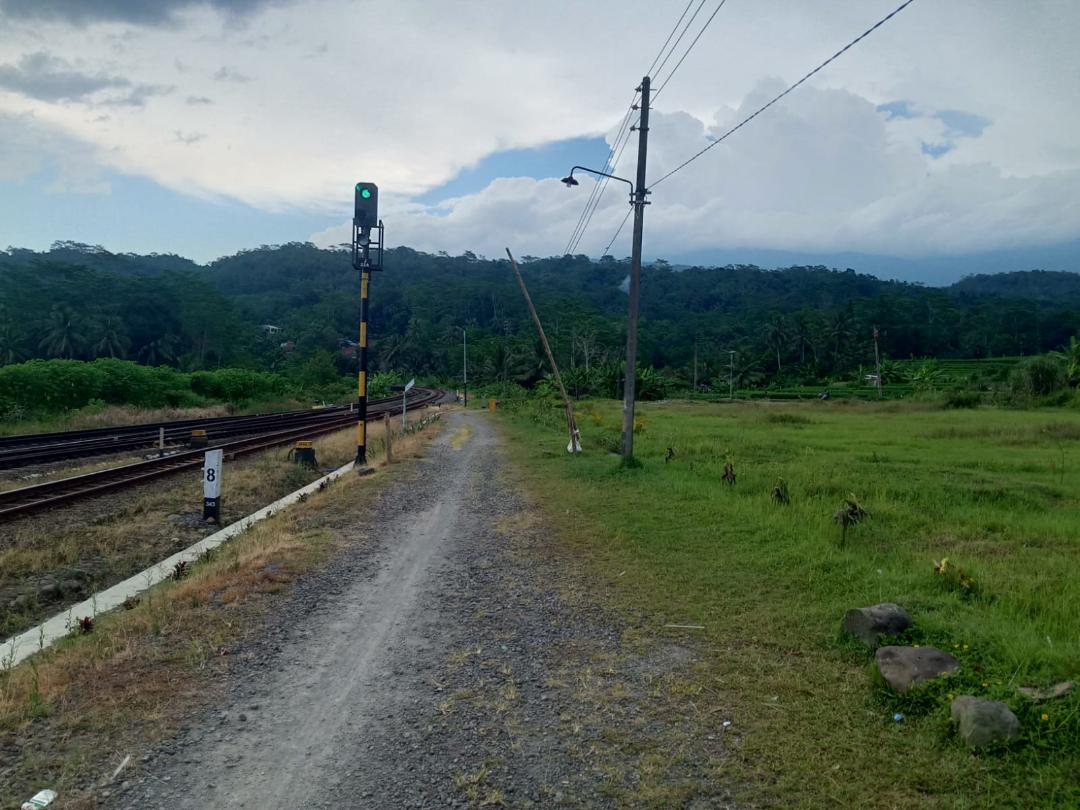A single-track railway curving into jungle hills, a green signal lit beside a gravel path and rice fields on the right.