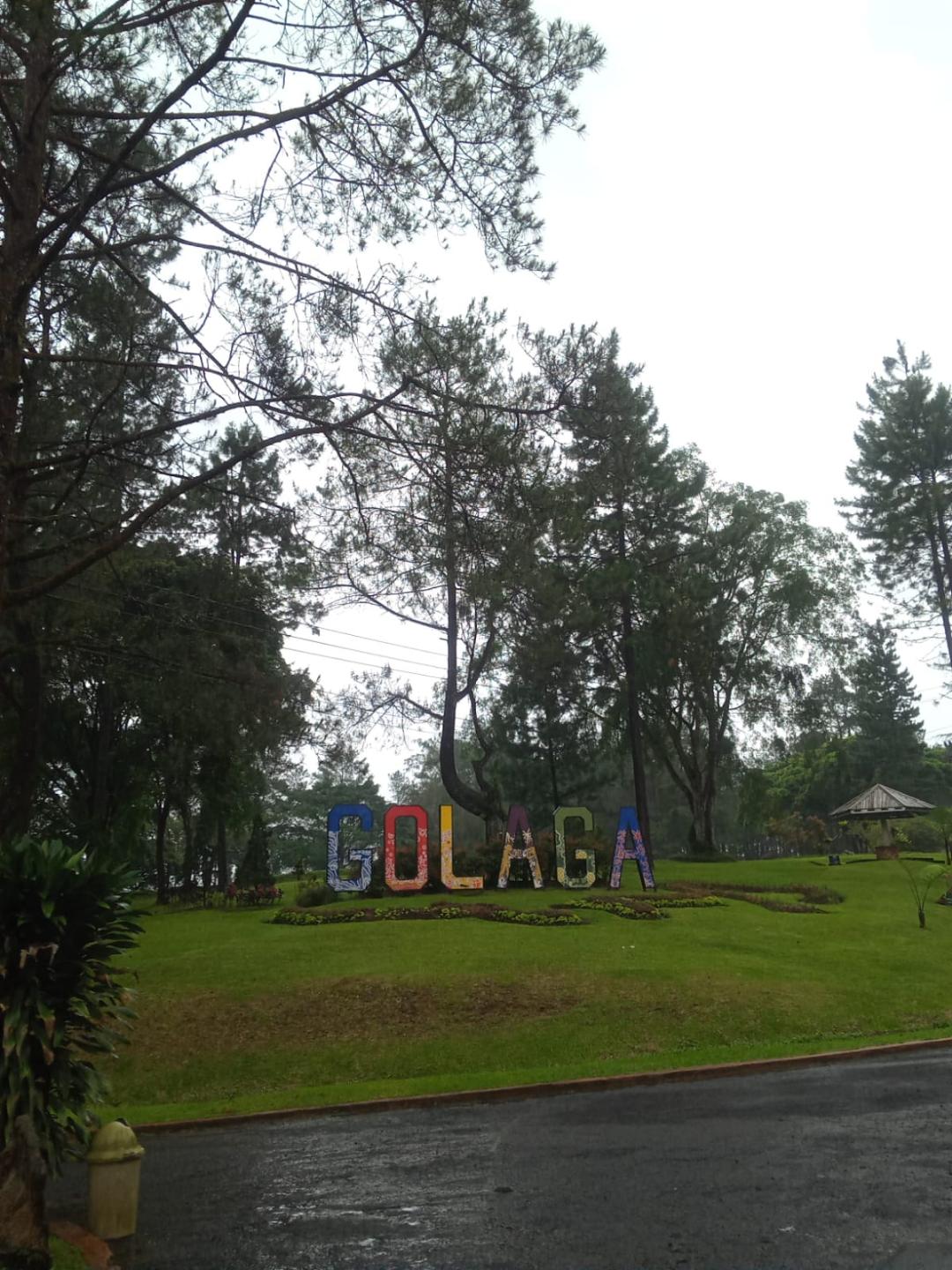 A garden lawn with the word 'GOLAGA' spelled out in oversized, multicoloured letters set among flowerbeds and pines.